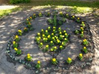 2012 05 20 Siklodi verseny