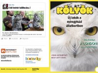 2018 02 04 Büvösvölgy